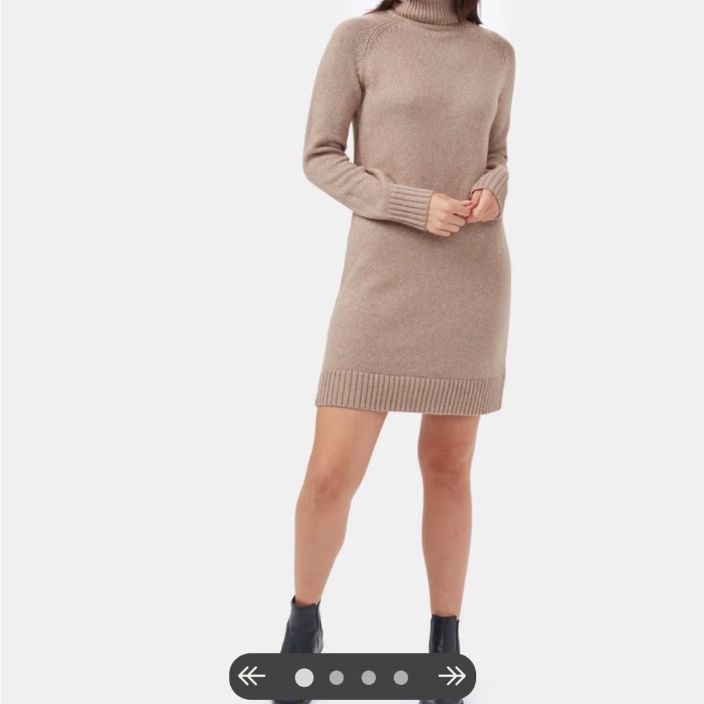 NWOT Tentree Brown Turtleneck Sweater Dress